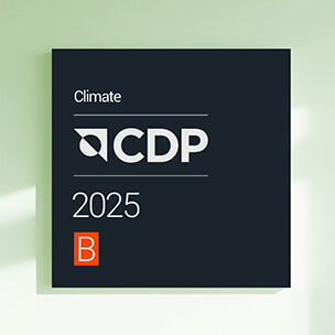 CDP Climate Change B